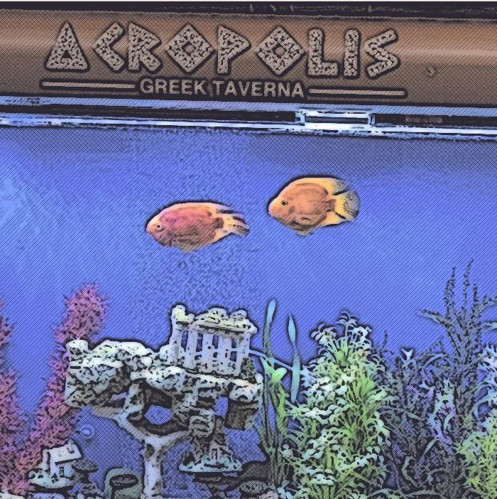 Sketch of fish in the restaurant aquarium
